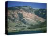 Red Shale Exposed on Hillside, Gros Ventre Valley, Wyoming, United States of America, North America-Waltham Tony-Stretched Canvas