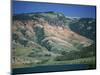 Red Shale Exposed on Hillside, Gros Ventre Valley, Wyoming, United States of America, North America-Waltham Tony-Mounted Photographic Print