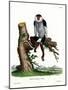 Red-Shanked Douc Langur-null-Mounted Giclee Print