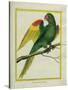 Red-Shouldered Macaw-Georges-Louis Buffon-Stretched Canvas