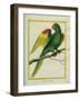 Red-Shouldered Macaw-Georges-Louis Buffon-Framed Giclee Print