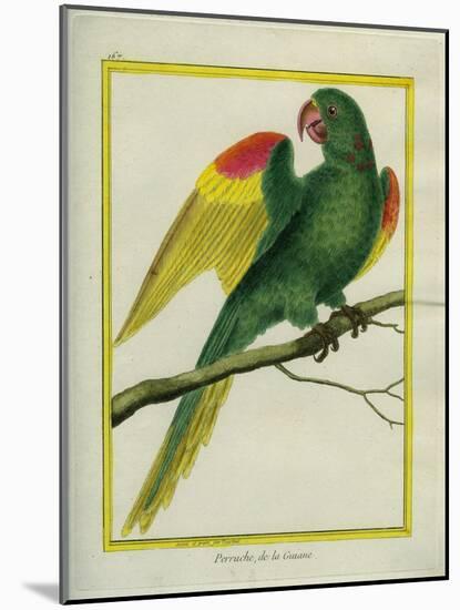 Red-Shouldered Macaw-Georges-Louis Buffon-Mounted Giclee Print