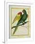 Red-Shouldered Macaw-Georges-Louis Buffon-Framed Giclee Print