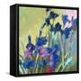 Red Show Irises-Beth A. Forst-Framed Stretched Canvas