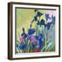 Red Show Irises-Beth A. Forst-Framed Art Print