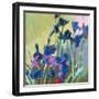 Red Show Irises-Beth A. Forst-Framed Art Print