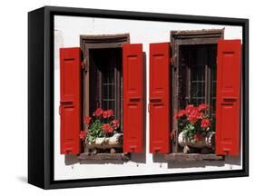 Red Shuttered Windows and Geraniums, Tasch, Near Zermatt, Valais, Switzerland-Ruth Tomlinson-Framed Stretched Canvas