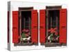 Red Shuttered Windows and Geraniums, Tasch, Near Zermatt, Valais, Switzerland-Ruth Tomlinson-Stretched Canvas