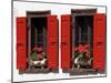 Red Shuttered Windows and Geraniums, Tasch, Near Zermatt, Valais, Switzerland-Ruth Tomlinson-Mounted Premium Photographic Print