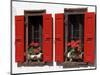 Red Shuttered Windows and Geraniums, Tasch, Near Zermatt, Valais, Switzerland-Ruth Tomlinson-Mounted Photographic Print