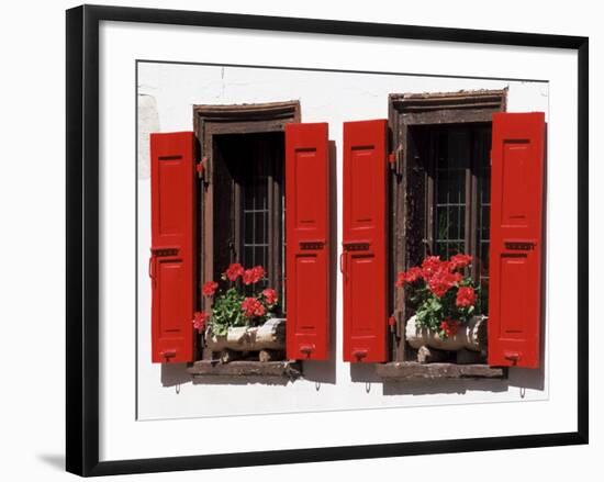 Red Shuttered Windows and Geraniums, Tasch, Near Zermatt, Valais, Switzerland-Ruth Tomlinson-Framed Photographic Print