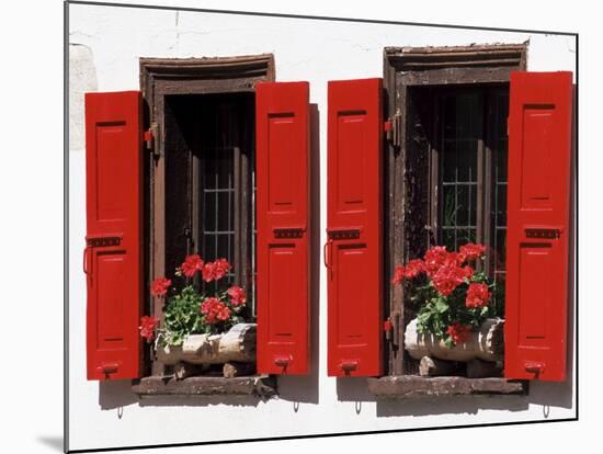 Red Shuttered Windows and Geraniums, Tasch, Near Zermatt, Valais, Switzerland-Ruth Tomlinson-Mounted Photographic Print