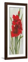 Red Simplicity I-James Wiens-Framed Premium Giclee Print