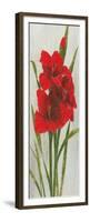 Red Simplicity I-James Wiens-Framed Premium Giclee Print