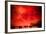 Red Sky at Night-Sharon Wish-Framed Photographic Print