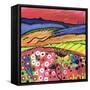 Red Sky at Night-Caroline Duncan-Framed Stretched Canvas