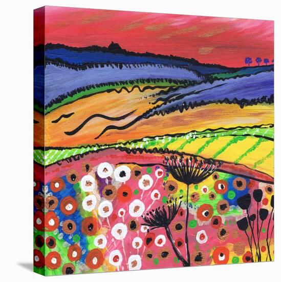 Red Sky at Night-Caroline Duncan-Stretched Canvas