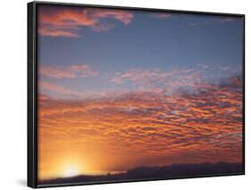 Red Sky at Sunrise over Atlantic Ocean, View from Miami Beach, Florida, USA, North America-Angelo Cavalli-Framed Photographic Print