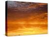 Red Sky at Sunrise over Atlantic Ocean, View from Miami Beach, Florida, USA, North America-Angelo Cavalli-Stretched Canvas