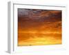 Red Sky at Sunrise over Atlantic Ocean, View from Miami Beach, Florida, USA, North America-Angelo Cavalli-Framed Photographic Print