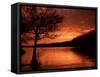 Red Sky at Sunset, Coniston Water, Consiton, Lake District, Cumbria, England, United Kingdom-Pearl Bucknall-Framed Stretched Canvas