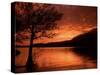 Red Sky at Sunset, Coniston Water, Consiton, Lake District, Cumbria, England, United Kingdom-Pearl Bucknall-Stretched Canvas