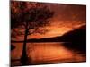 Red Sky at Sunset, Coniston Water, Consiton, Lake District, Cumbria, England, United Kingdom-Pearl Bucknall-Mounted Photographic Print