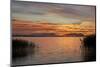 Red Sky over the Saaler Bodden Close Ahrenshoop-Uwe Steffens-Mounted Photographic Print