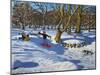 Red Sledge, Lomberdale Hall, Derbyshire, 2014-Andrew Macara-Mounted Giclee Print