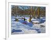 Red Sledge, Lomberdale Hall, Derbyshire, 2014-Andrew Macara-Framed Giclee Print
