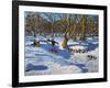 Red Sledge, Lomberdale Hall, Derbyshire, 2014-Andrew Macara-Framed Giclee Print