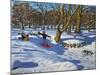 Red Sledge, Lomberdale Hall, Derbyshire, 2014-Andrew Macara-Mounted Giclee Print