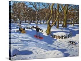 Red Sledge, Lomberdale Hall, Derbyshire, 2014-Andrew Macara-Stretched Canvas