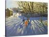 Red Sledge, Monyash, Derbyshire-Andrew Macara-Stretched Canvas