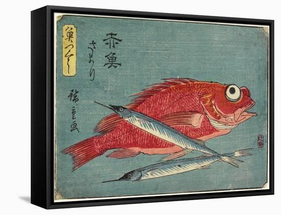 Red Snapper and Halfbeak, 1830-1844-Utagawa Hiroshige-Framed Stretched Canvas