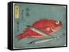 Red Snapper and Halfbeak, 1830-1844-Utagawa Hiroshige-Framed Stretched Canvas