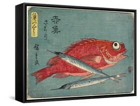 Red Snapper and Halfbeak, 1830-1844-Utagawa Hiroshige-Framed Stretched Canvas