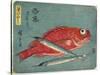 Red Snapper and Halfbeak, 1830-1844-Utagawa Hiroshige-Stretched Canvas