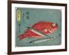 Red Snapper and Halfbeak, 1830-1844-Utagawa Hiroshige-Framed Giclee Print