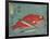 Red Snapper and Halfbeak, 1830-1844-Utagawa Hiroshige-Framed Giclee Print