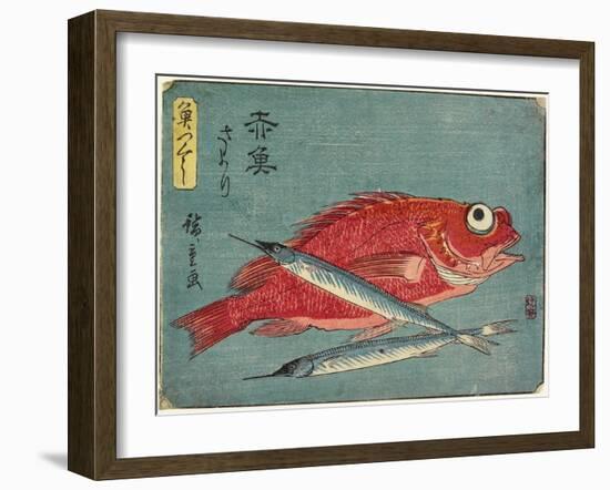 Red Snapper and Halfbeak, 1830-1844-Utagawa Hiroshige-Framed Giclee Print
