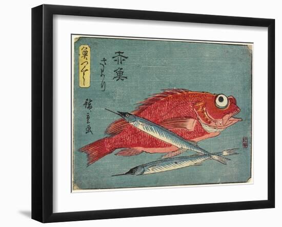 Red Snapper and Halfbeak, 1830-1844-Utagawa Hiroshige-Framed Giclee Print