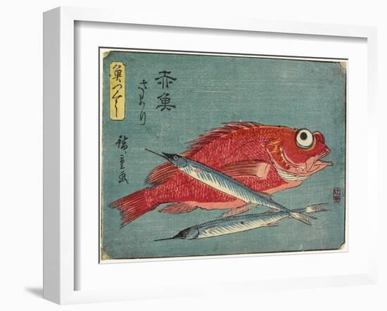 Red Snapper and Halfbeak, 1830-1844-Utagawa Hiroshige-Framed Giclee Print