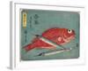 Red Snapper and Halfbeak, 1830-1844-Utagawa Hiroshige-Framed Giclee Print