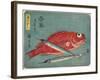 Red Snapper and Halfbeak, 1830-1844-Utagawa Hiroshige-Framed Giclee Print