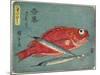 Red Snapper and Halfbeak, 1830-1844-Utagawa Hiroshige-Mounted Giclee Print