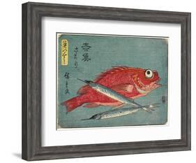 Red Snapper and Halfbeak, 1830-1844-Utagawa Hiroshige-Framed Giclee Print