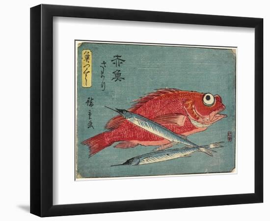 Red Snapper and Halfbeak, 1830-1844-Utagawa Hiroshige-Framed Giclee Print