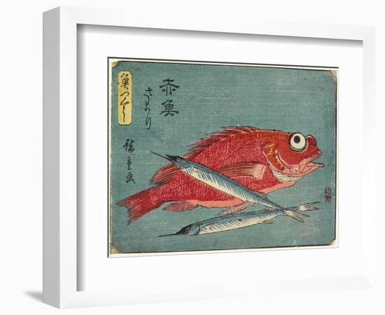 Red Snapper and Halfbeak, 1830-1844-Utagawa Hiroshige-Framed Giclee Print