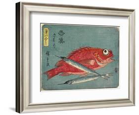 Red Snapper and Halfbeak, 1830-1844-Utagawa Hiroshige-Framed Giclee Print